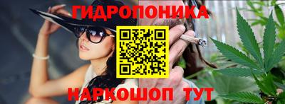 крисы Гай