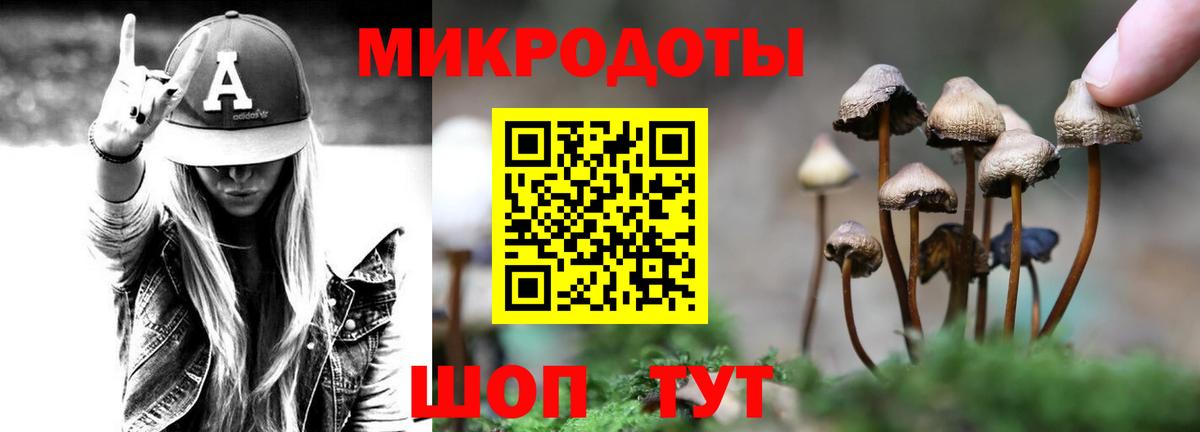 Галлюциногенные грибы ЛСД Новодвинск